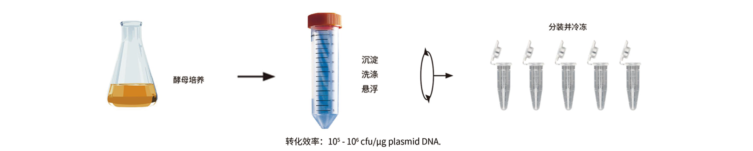 优享价酵母买赠.png